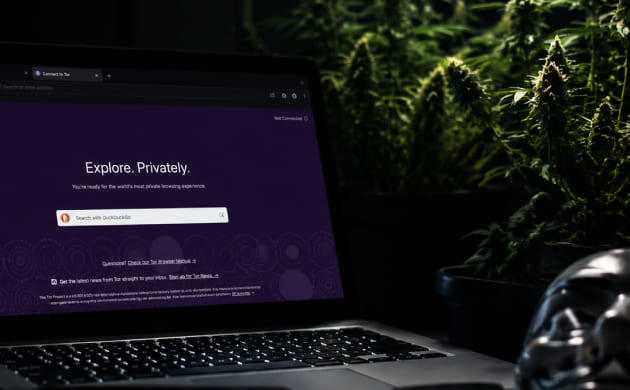Анонимный браузер TOR TOR-браузер