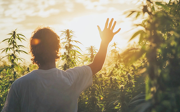 За автоцветами легко ухаживать