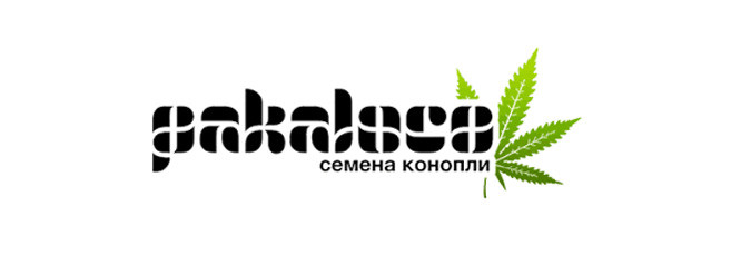 Pakaloco магазин семян конопли Pakaloco магазин семян конопли