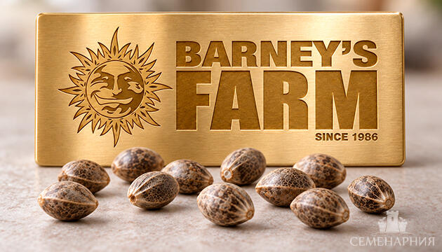 Новинки от Barney’s Farm