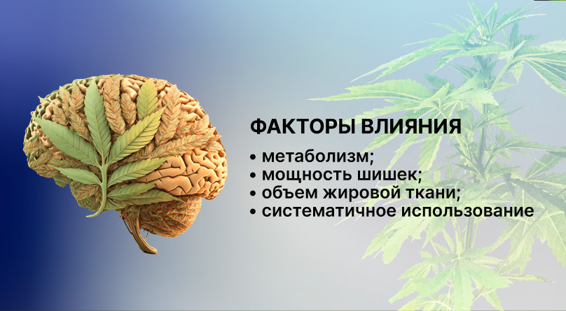 Цвет лица и высвобождение ТГК Индивидуальные факторы, влияющие на вывод каннабиса