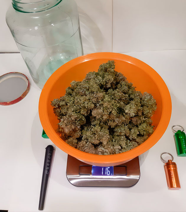 Урожай после сушки