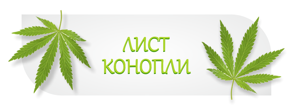 Лист конопли