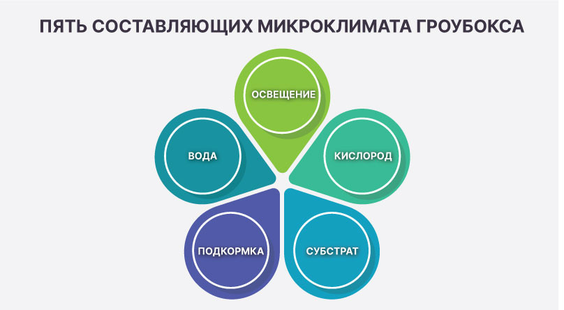 5 составляющих микроклимата гроубокса
