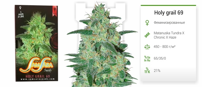 Holy grail 69 