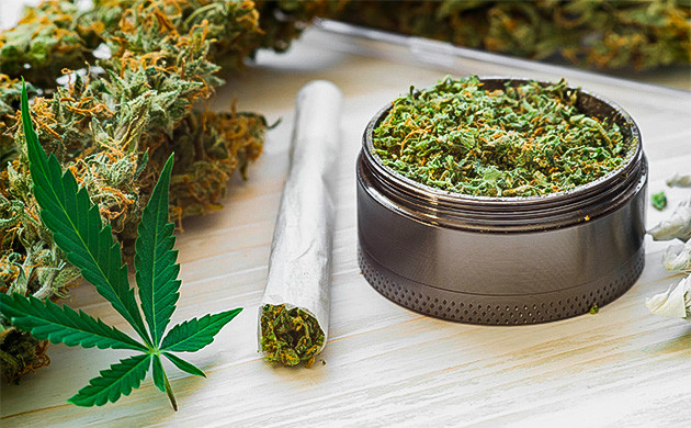 Эффект и урожайность Использование конопли