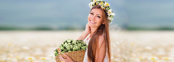 Урожайные сорта от Eva Seeds Урожайные сорта от Eva Seeds