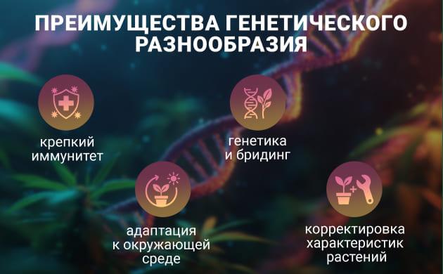 Актуальность генетического разнообразия