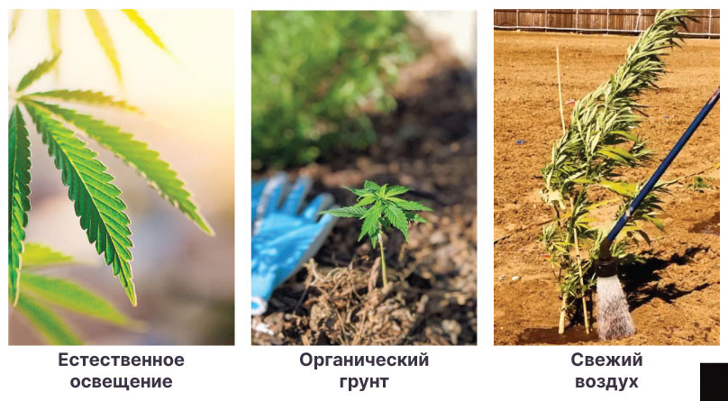 Освещение, грунт и воздух