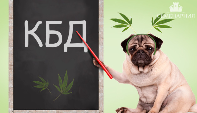 Подробнее о КБД