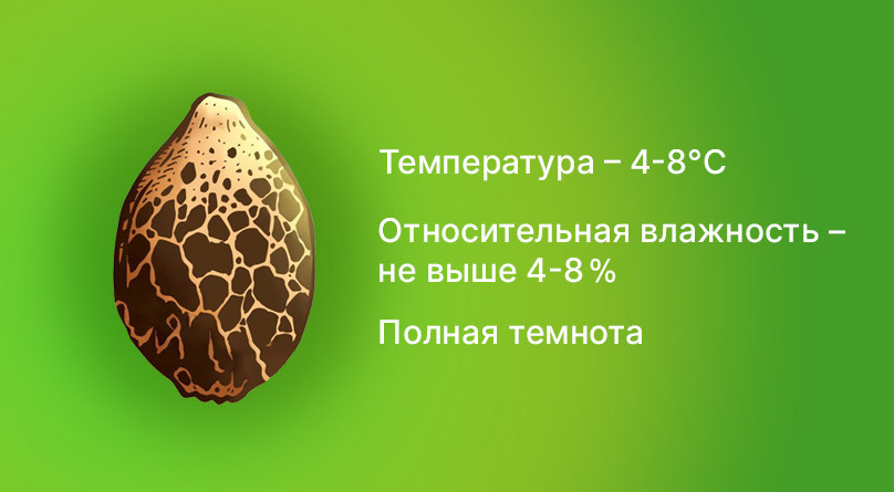 Основные требования к хранению