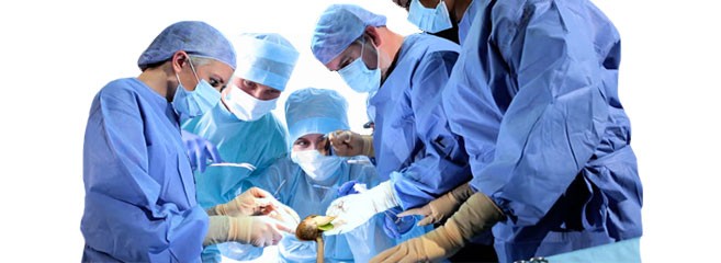 Как снять скорлупу с ростка конопли