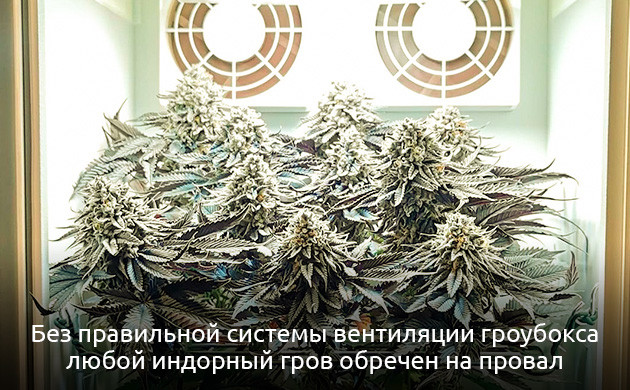 Циркуляция воздуха в гроубоксе