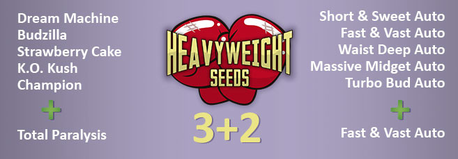 Акция от сидбанка Heavyweight Seeds 3+2