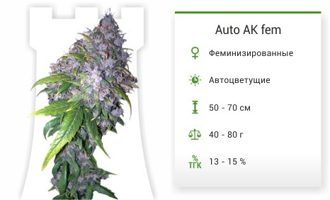 Auto AK fem от Grass-O-Matic