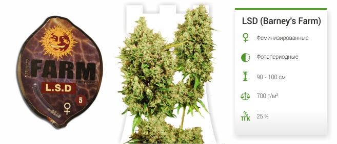 LSD fem от Barney's Farm