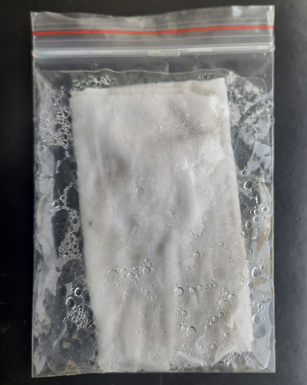 Проращивание