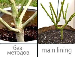 Метод main lining