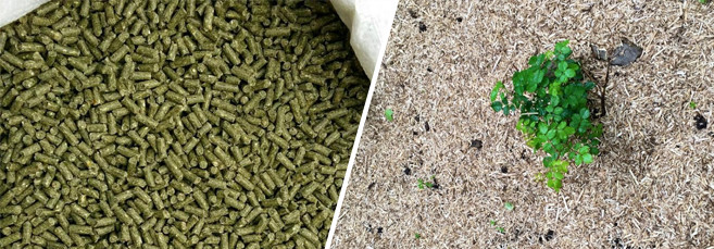 Конопля в сельском хозяйстве