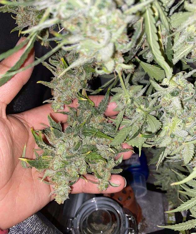 Общие впечатления