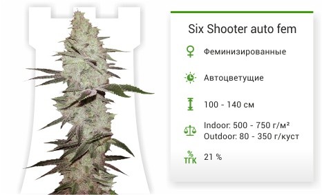 Сорт марихуаны Six Shooter auto Six Shooter auto fem от FastBuds