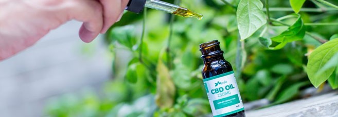 КБД нейтрализует эффект ТГК