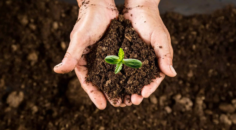 Виды субстратов для конопли