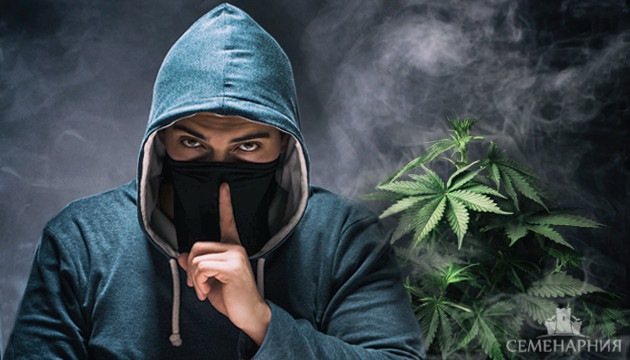 Безопасность гровера