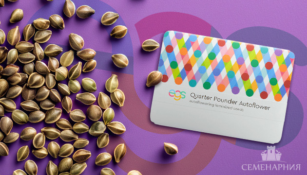 Новый сидбанк Easy Grow Seeds Сорта от Easy Grow Seeds