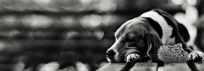 Может ли марихуана помочь при депрессии?