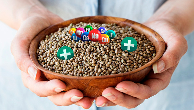 Польза конопляного семени