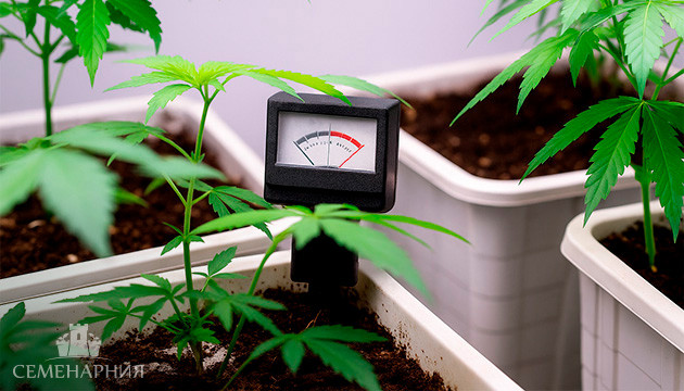 Оптимальные значения рН для марихуаны