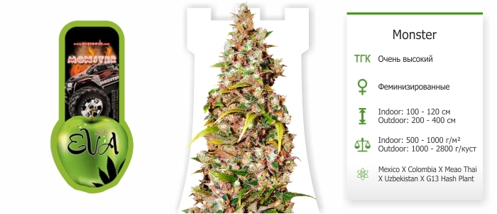 Monster 