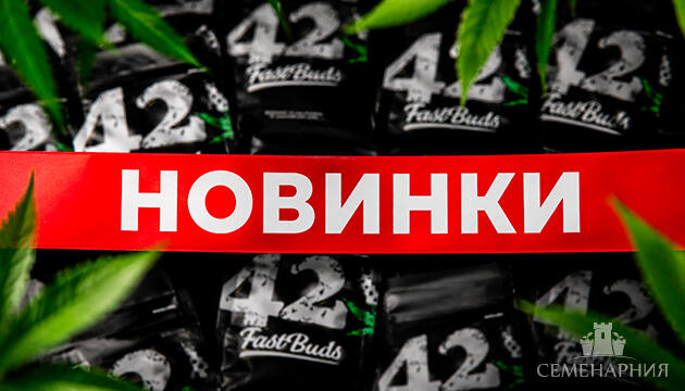 Новые сорта от FastBuds на Семенарнии Новинки от FastBuds