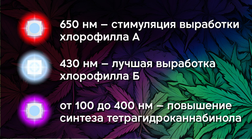 Спектры LED светильников