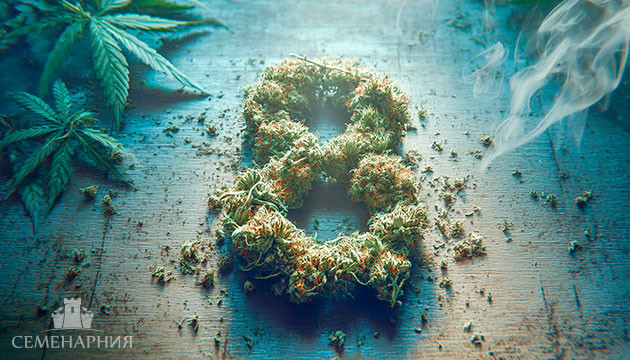 Топ 8 каннабиноидов и их влияние на человеческий организм Топ 8 каннабиноидов и их особенности