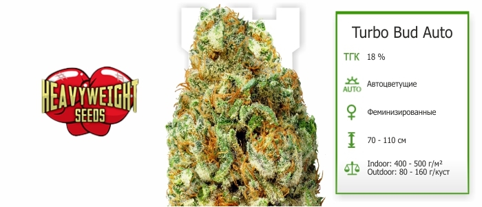 Turbo Bud Auto