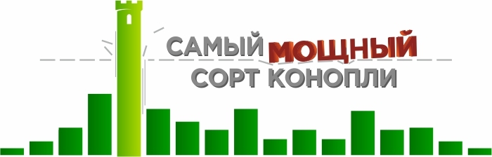 САМЫЙ МОЩНЫЙ СОРТ КОНОПЛИ