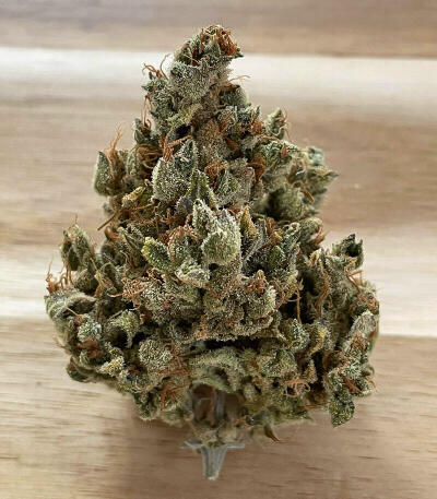Сорт Crescendo RBX1 fem (Ethos Genetics)
