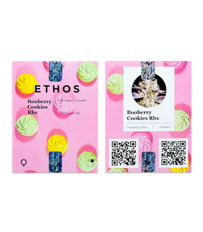 Сорт Booberry Cookies RBX fem (Ethos Genetics)