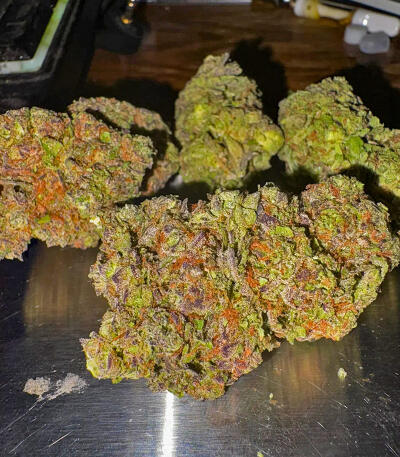 Семена сорта RudeBoi OG F1 fem (Seedkeepers)