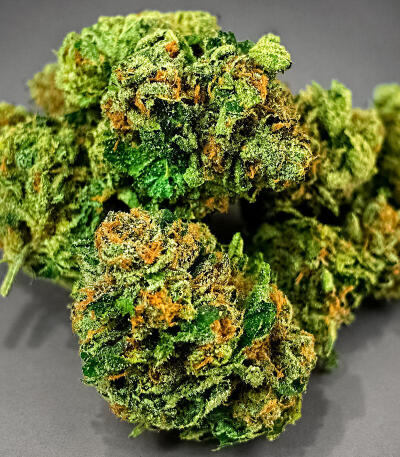 Сорт Z42 fem (FastBuds)