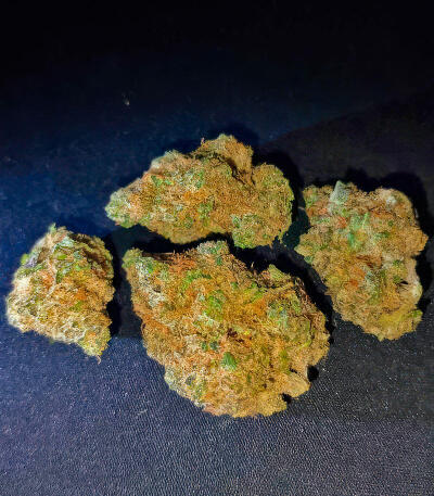 Сорт Insane OG