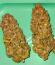 Сорт LFG fem (Barney's Farm)