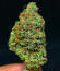 Сорт Ghost Train Haze fem (Seedkeepers)
