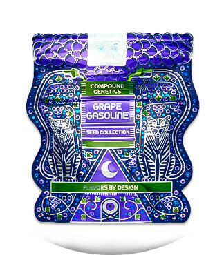 Mellowz fem (Compound Genetics)