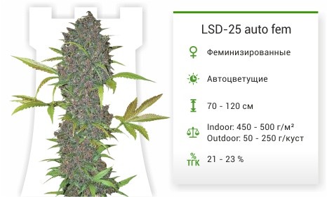 LSD-25 от FastBuds